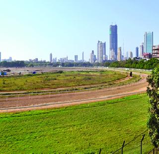 Landlord | भाडेकरारावरील जमिनी मालकीच्या Landlord | भाडेकरारावरील जमिनी मालकीच्या