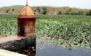 Pond drough: | तलावाची दुरवस्था : Pond drough: | तलावाची दुरवस्था :