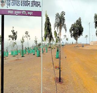 Jawhar Hanuman took place with the contribution of Shri members | श्री सदस्यांच्या योगदानाने जव्हार हनुमान पॉइंट झाला निसर्गरम्य