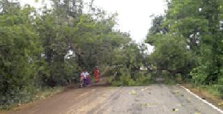 Thunderstorms with hail | गारपिटीसह वादळाचा तडाखा