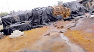 Wadachi Rope Celebrate 'Wat Pournima' | वडाचं रोप लावून साजरी करा ‘वटपौर्णिमा’ Wadachi Rope Celebrate 'Wat Pournima' | वडाचं रोप लावून साजरी करा ‘वटपौर्णिमा’