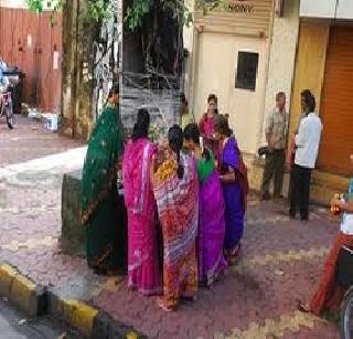 The conventional windfall environment is fatal | पारंपरिक वटपौर्णिमा पर्यावरणास घातक