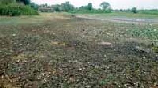 Furious water scarcity in 70 villages | ७० गावांत भीषण पाणीटंचाईचे सावट Furious water scarcity in 70 villages | ७० गावांत भीषण पाणीटंचाईचे सावट