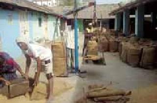 23.35 crore sanitation grant to farmers | शेतकऱ्यांंना मिळणार २३.३५ कोटींचे सानुग्रह अनुदान