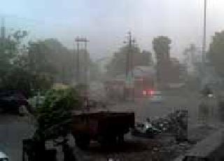 Wani, Maregala storm surge | वणी, मारेगावला वादळी पावसाचा तडाखा