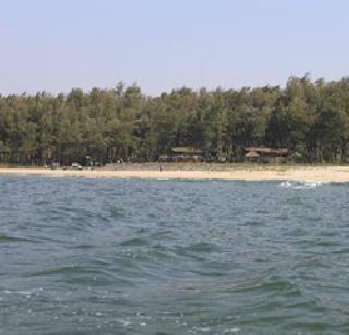 The sea of ​​Malavani blossom | मालवणचा समुद्र खवळला