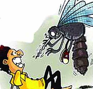 Four patients of dengue fever | डेंग्युसदृश तापाचे चार रूग्ण दाखल