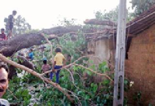 With rainstorm, it rained down | वादळासह पावसाने झोडपले