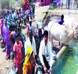 Kanni karne karna karna karne thirtan kirtan | कहाळे करतात स्वखर्चातून तृष्णातृप्ती