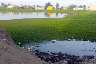 British pond deterioration: | इंग्रजकालीन तलावाची दुरवस्था :