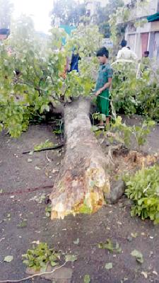 Storm hit at Hinganghat, Samudrapur taluka | हिंगणघाट, समुद्रपूर तालुक्याला वादळाचा फटका