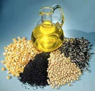 'Oilseed Short Campaign' for Oil Seed Producers in the State | राज्यात तेलबिया उत्पादकांसाठी ‘तेलबिया लघु अभियान’