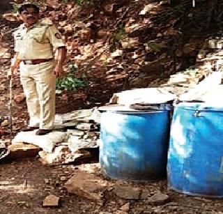 In the wild, the brewery was destroyed | जंगलातील दारूभट्टी केली उद्ध्वस्त In the wild, the brewery was destroyed | जंगलातील दारूभट्टी केली उद्ध्वस्त