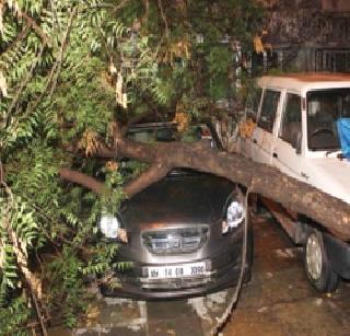 Three people injured in the roof collapses | छताचे पत्रे कोसळून ठाण्यात तिघे जखमी Three people injured in the roof collapses | छताचे पत्रे कोसळून ठाण्यात तिघे जखमी