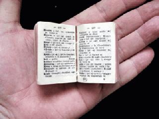 Words are lost .. | शब्द हरवले आहेत.. Words are lost .. | शब्द हरवले आहेत..