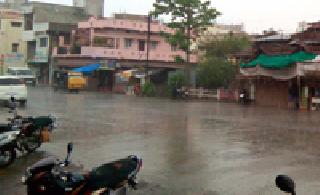 Eventually the rabbit ... | अखेर मृगधारा बरसल्या...