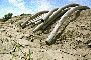 Record reduction in farm water | शेतीच्या पाण्यात विक्रमी कपात