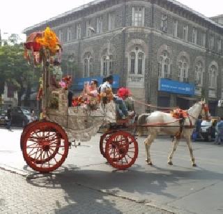 The owners of the craft run in the Supreme Court | घोडागाडी मालकांची सर्वोच्च न्यायालयात धाव The owners of the craft run in the Supreme Court | घोडागाडी मालकांची सर्वोच्च न्यायालयात धाव