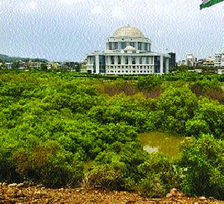 The railroad merges with mangroves | रेल्वेमार्ग खारफुटीच्या मुळावर