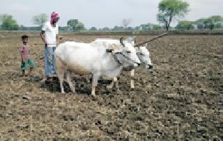 The cultivation of Kharipa comes from the top | खरिपाच्या शेतीकामाला आला वेग The cultivation of Kharipa comes from the top | खरिपाच्या शेतीकामाला आला वेग