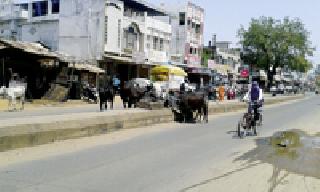 Mock cattle: | मोकाट जनावरे दुभाजकावर : Mock cattle: | मोकाट जनावरे दुभाजकावर :