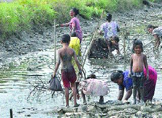 Now the food is filled with fodder | खाडीतील माशांवर आता खवय्यांचा भर