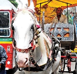 O SS Victoria .. | ओSS व्हिक्टोरिया..