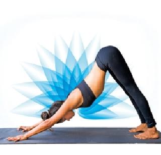 Waka | वाका Waka | वाका