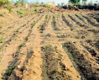 The encroachment of the farmer at the place of government population | शासकीय आबादीच्या जागेवर शेतकऱ्याचे अतिक्रमण