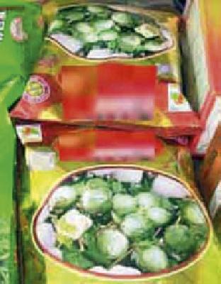 Seeking temptation seed companies | प्रलोभन देणाऱ्या बियाणे कंपन्या निशाण्यावर Seeking temptation seed companies | प्रलोभन देणाऱ्या बियाणे कंपन्या निशाण्यावर