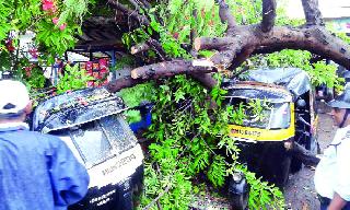 Loss of two rakshas | दोन रिक्षांचे नुकसान