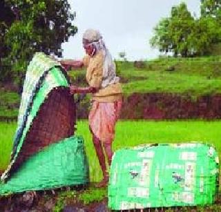 Erle-blinds have been deported | इरले-घोंगडी झाले हद्दपार