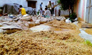 Paddy saddle | धान सडले