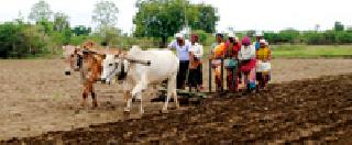 70% sowing on private lending | ७० टक्के पेरण्या खासगी कर्जावर 70% sowing on private lending | ७० टक्के पेरण्या खासगी कर्जावर