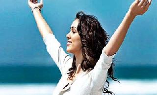 What are the principles? | तत्त्वबित्व असतात काय? What are the principles? | तत्त्वबित्व असतात काय?