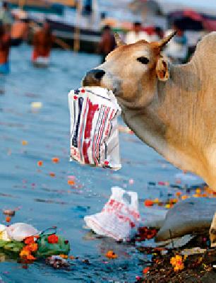 Polythene foam in the city | शहरात पॉलिथीनबंदीचा फज्जा