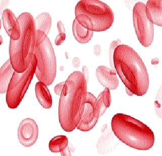 The risk of leprosy in children due to non-availability of nutrition | पोषणाअभावी मुलांमध्ये रक्तक्षयाचा धोका