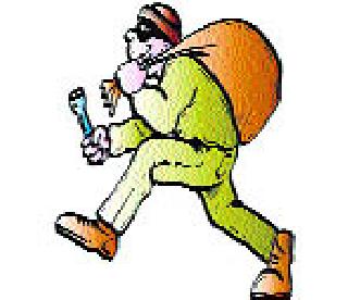 It is impossible to make thieves 'mountain' | चोरट्यांना ‘पर्वणी’ साधणे अशक्य