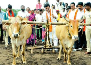 'Sowing of Humanity': | ‘माणुसकीची पेरणी’ :