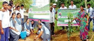 Celebrated in the district on the occasion of Agriculture Day | जिल्ह्यात कृषी दिन उत्साहात साजरा