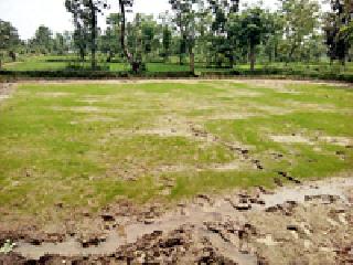 Due to the sowing crisis of the farmers | शेतकऱ्यांवर दुबार पेरणीचे संकट Due to the sowing crisis of the farmers | शेतकऱ्यांवर दुबार पेरणीचे संकट