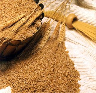 10% of the import duty on wheat imported | गहू आयातीवर लागणार १० टक्के शुल्क