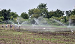 Sprinkler option for crop: | पिकासाठी स्प्रिंकलरचा पर्याय : Sprinkler option for crop: | पिकासाठी स्प्रिंकलरचा पर्याय :