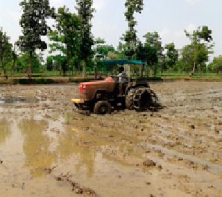 Chicks: | चिखलणी :