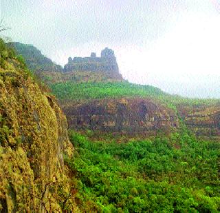 Fresh breathing took place by the fountains of the palate | पदरगडच्या झऱ्यांनी घेतला मोकळा श्वास