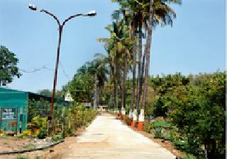 Agriculture Department's 'Agro Tourism'! | कृषी विभागाचे ‘अ‍ॅग्रो टुरिझम’!