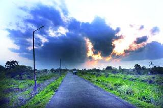 The rain hit the sheep | पावसाने मारली दडी The rain hit the sheep | पावसाने मारली दडी