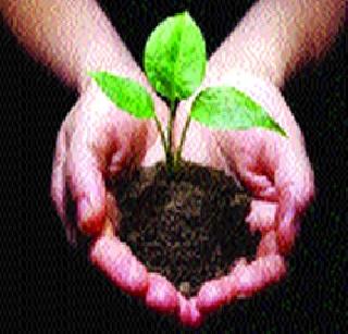 Thane Municipal's Live Tag for the tree conservation | वृक्ष संवर्धनासाठी आता ठाणे पालिकेचे जिओ टॅग Thane Municipal's Live Tag for the tree conservation | वृक्ष संवर्धनासाठी आता ठाणे पालिकेचे जिओ टॅग