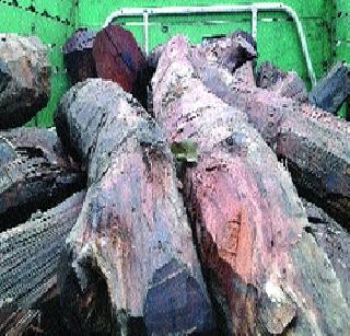 Well-filled tempo seized | खैराने भरलेला टेम्पो जप्त Well-filled tempo seized | खैराने भरलेला टेम्पो जप्त