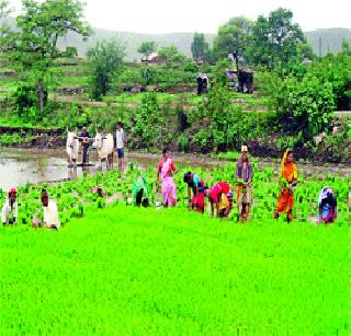 Expect rainy rains | अपेक्षा दमदार पावसाची